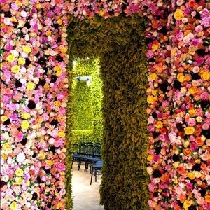 Meet your Posher, Whitney